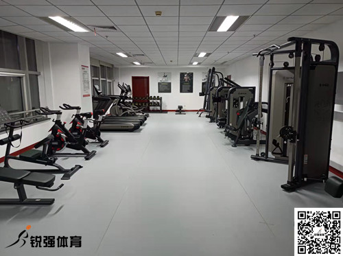 济南某集团采购的巅峰国际提供的健身器材